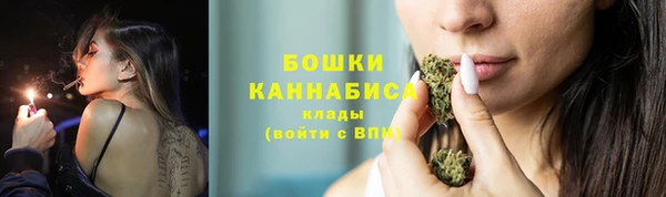 ECSTASY Шали