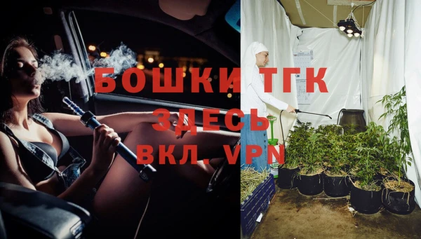 ECSTASY Шали
