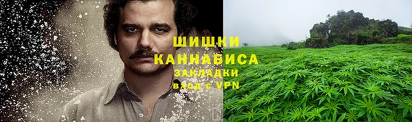 ECSTASY Шали