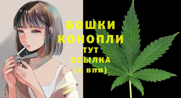 ECSTASY Шали