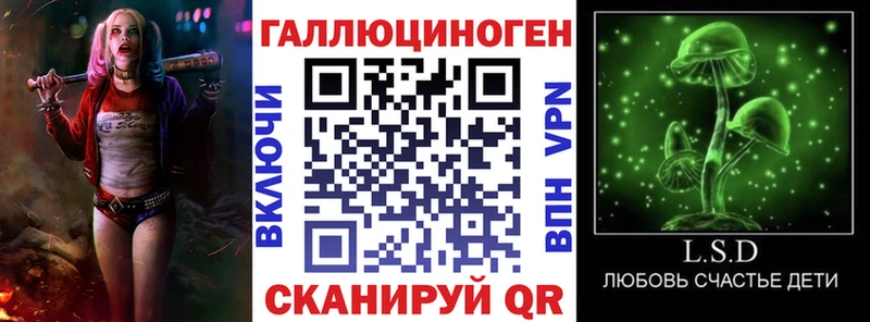где купить наркоту  OMG ТОР  Псилоцибиновые грибы мухоморы  Буйнакск 