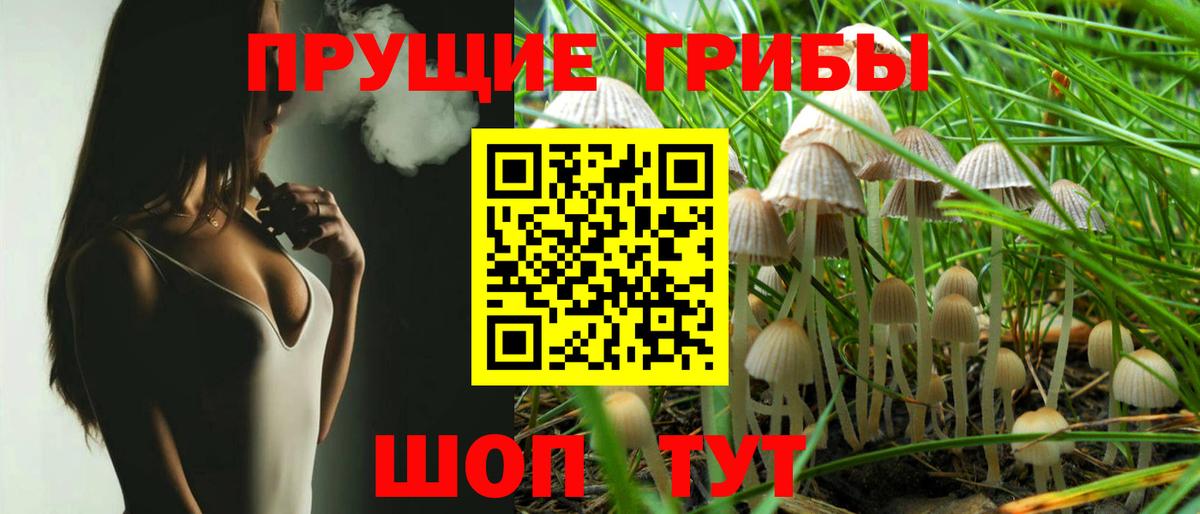 Псилоцибиновые грибы Psilocybine cubensis Буйнакск