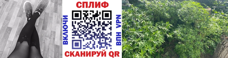 маркетплейс наркотические препараты Буйнакск Каннабис Amnesia